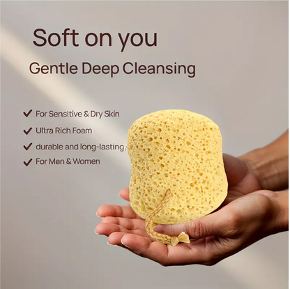 Shower Sponge