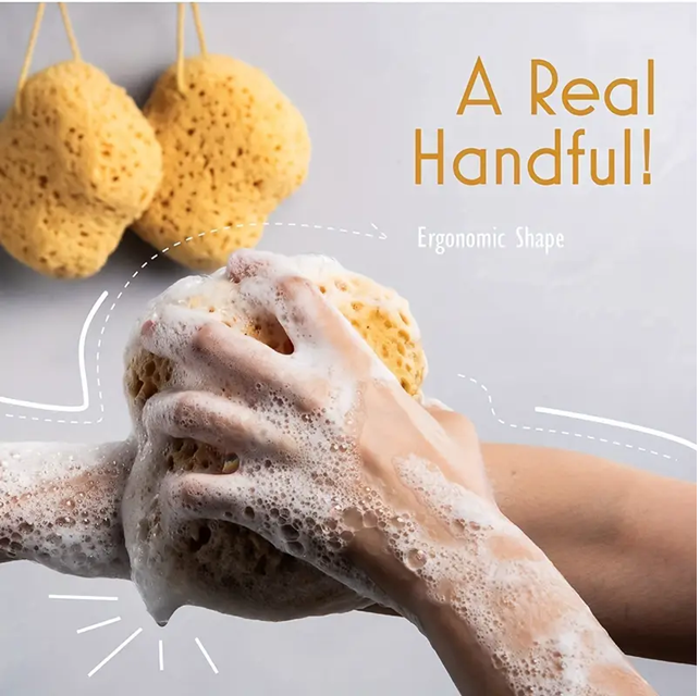 Shower Sponge