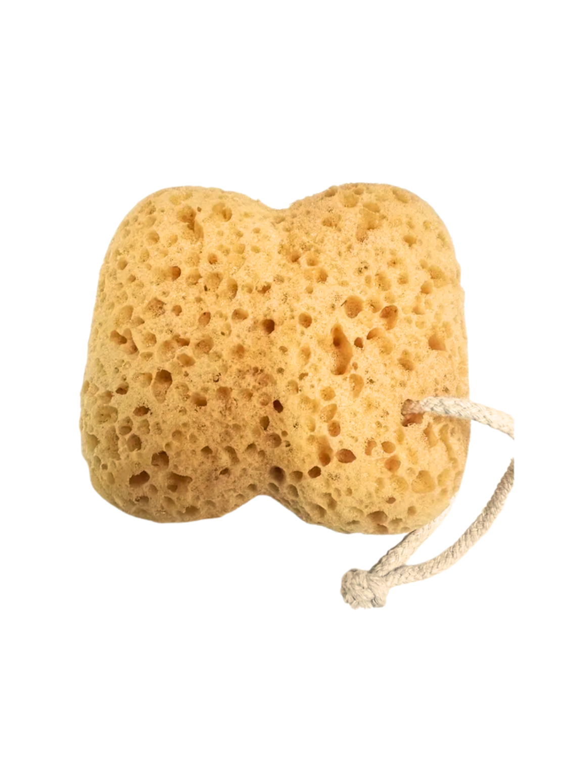 Shower Sponge