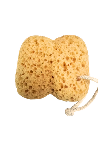 Shower Sponge